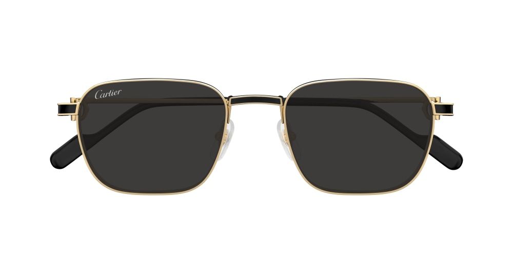 Cartier CT0497S 006 54 очки с/з